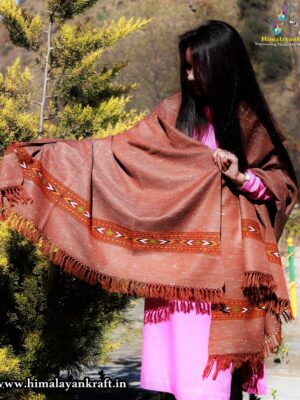 Brown Pure Wool Purely Hand Woven Embroidered Handloom Shawl