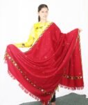 Handloom-Woven-Kullu-Design-Wool-Shawl4-2.jpg